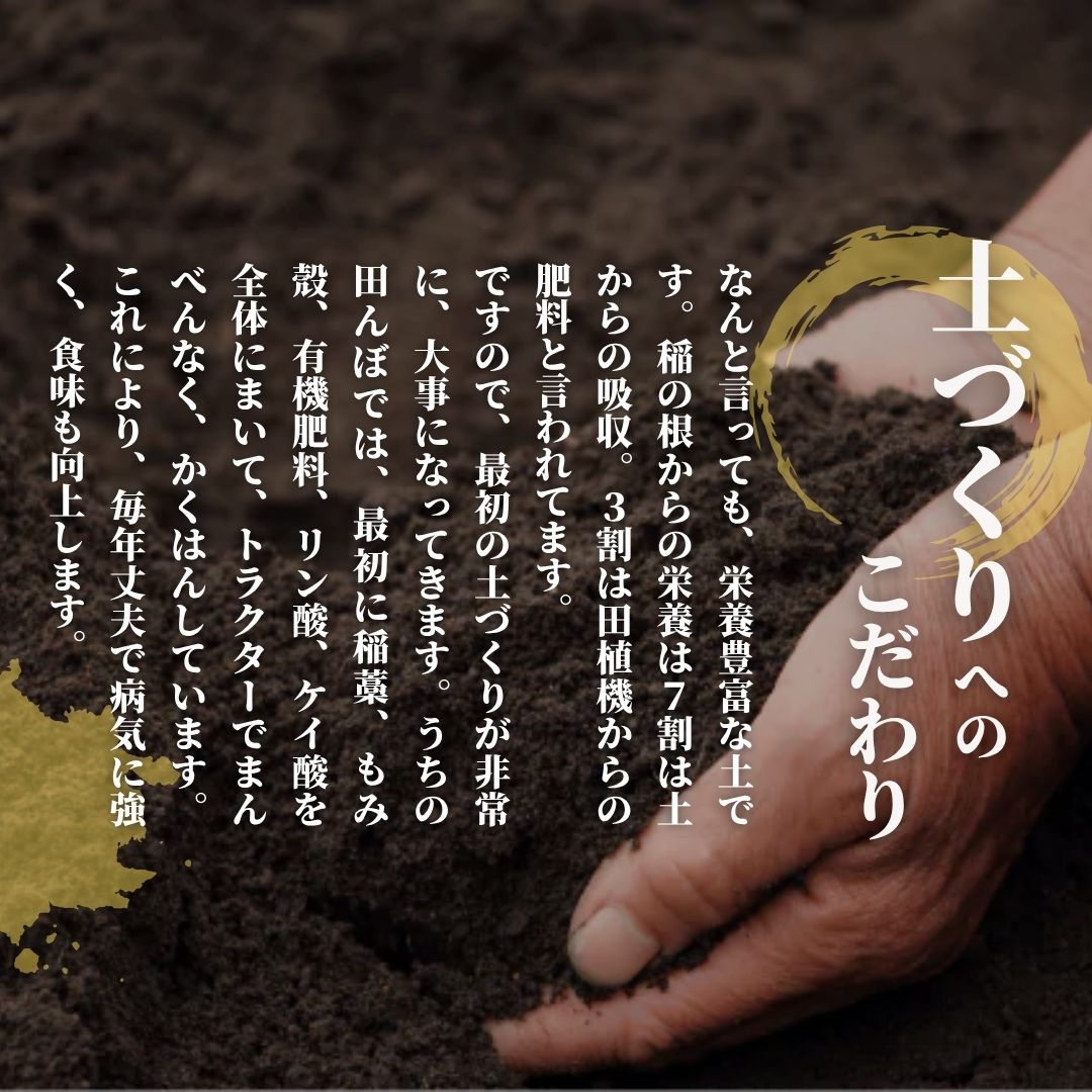 新潟県五泉市の画像2