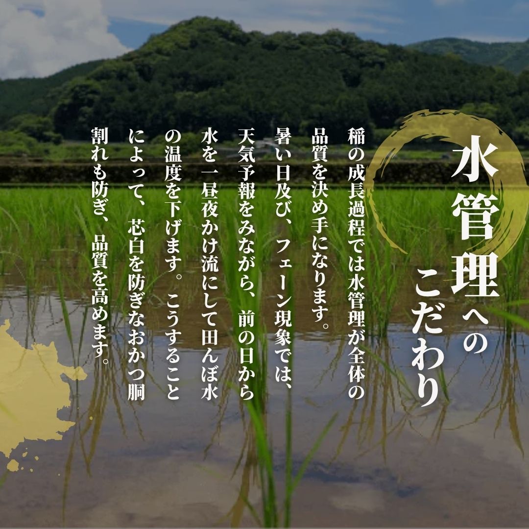 新潟県五泉市の画像3