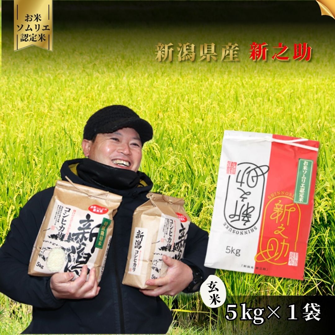 11位! 口コミ数「1件」評価「5」令和7年産【お米ソムリエのお米】新之助 玄米 5kg（5kg×1袋）新潟県 五泉市 エバーグリーン農場