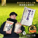 【ふるさと納税】令和7年産新米【お米ソムリエのお米】ゆきん子舞 精米 5kg(5kg×1袋)1回 or 6回 五泉市四ヶ村産 米 お米 新潟県 五泉市 エバーグリーン農場