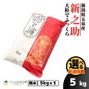 【ふるさと納税】 令和7年産 新米 米 5kg 五泉産 新之助 選べる回数 | 白米 精米 しんのすけ お米 おこめ コメ こめ 新潟県 五泉市 有限会社ファームみなみの郷
