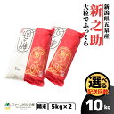 【ふるさと納税】 令和7年産 新米 米 10kg ( 5kg × 2袋 ) 五泉産 新之助 選べる回数 | 白米 精米 しんのすけ お米 おこめ コメ こめ 新潟県 五泉市 有限会社ファームみなみの郷