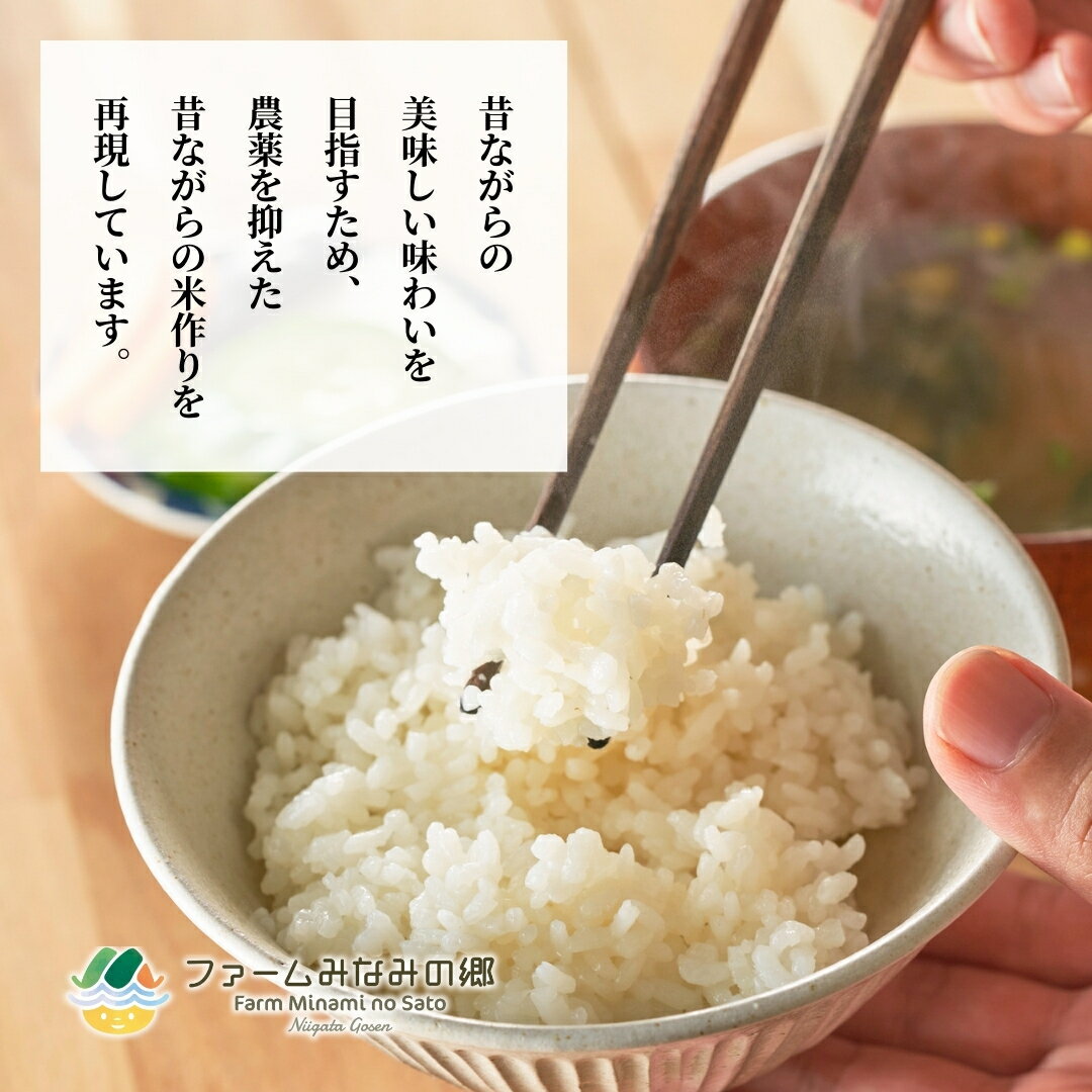 新潟県五泉市の画像2