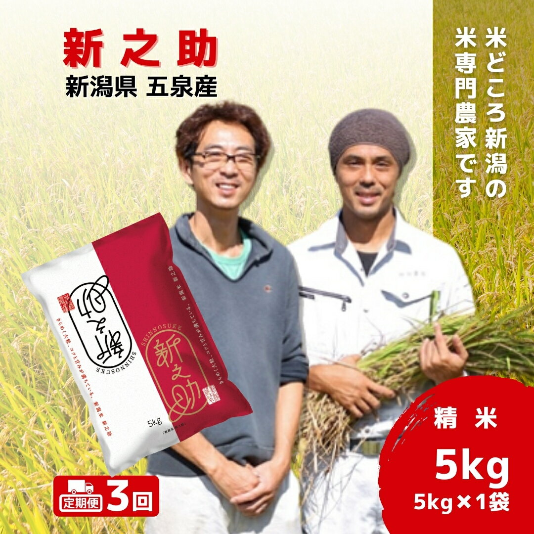 新潟県五泉市の画像3