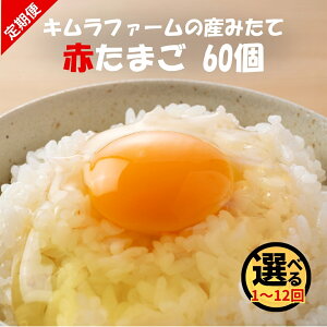 【ふるさと納税】 卵 赤たまご 60個 ( Mサイズ ) キムラファームの産みたて卵 選べる配送回数 定期便 1回~12回 | 産みたて たまご 赤卵 玉子 タマゴ 鶏卵 生卵 卵かけご飯 人気 おすすめ お取り寄せ 新潟県 五泉市