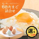 【ふるさと納税】 キムラファームの産みたて卵 6色たまご詰合せ 60個 1回?12回 選べる配送回数 産みたてたまご たまご 卵 玉子 タマゴ 鶏卵 オムレツ ...