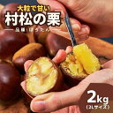 【ふるさと納税】【先行予約】越後村松の栗 ぽろたん 2kg 国産 栗 くり 大きい 甘い 大玉 特産品 焼き栗 栗ご飯 生栗 スイーツ お菓子 和菓子 新潟県 五泉市 村松特産振興協議会栗部会 2025年10月中旬発送予定