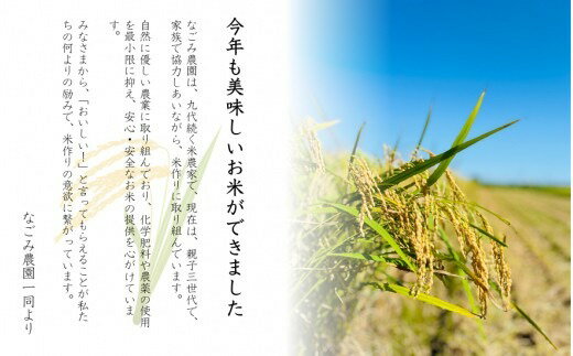 新潟県五泉市の画像3