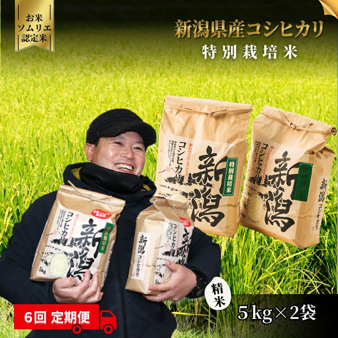 新潟県五泉市の画像3