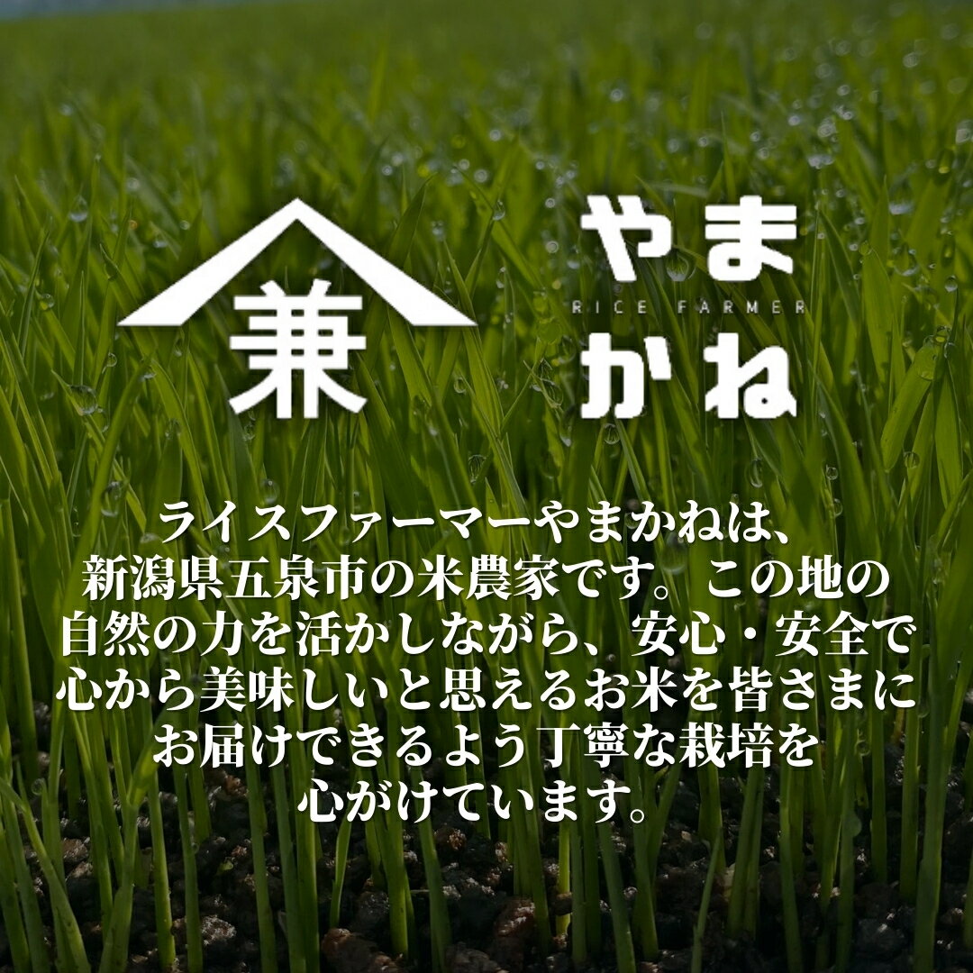 新潟県五泉市の画像2