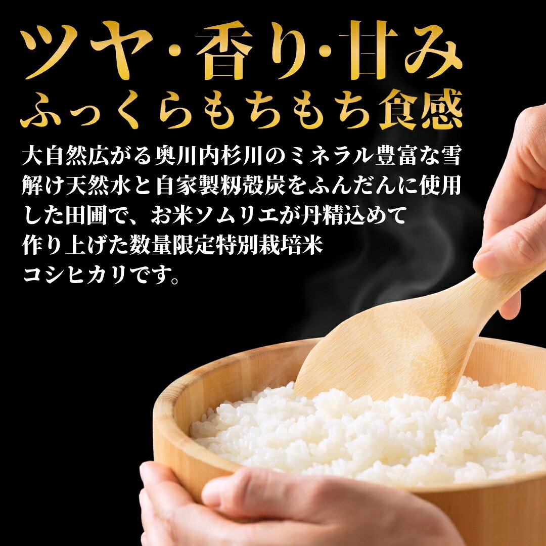 新潟県五泉市の画像3