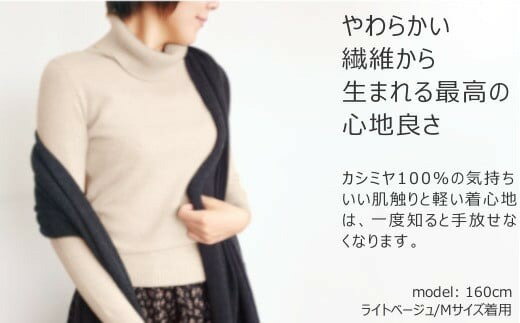 新潟県五泉市の画像2