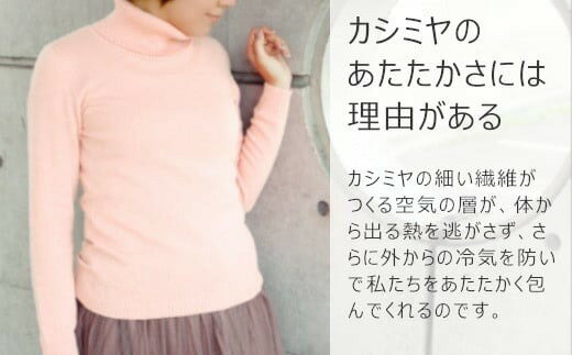 新潟県五泉市の画像3