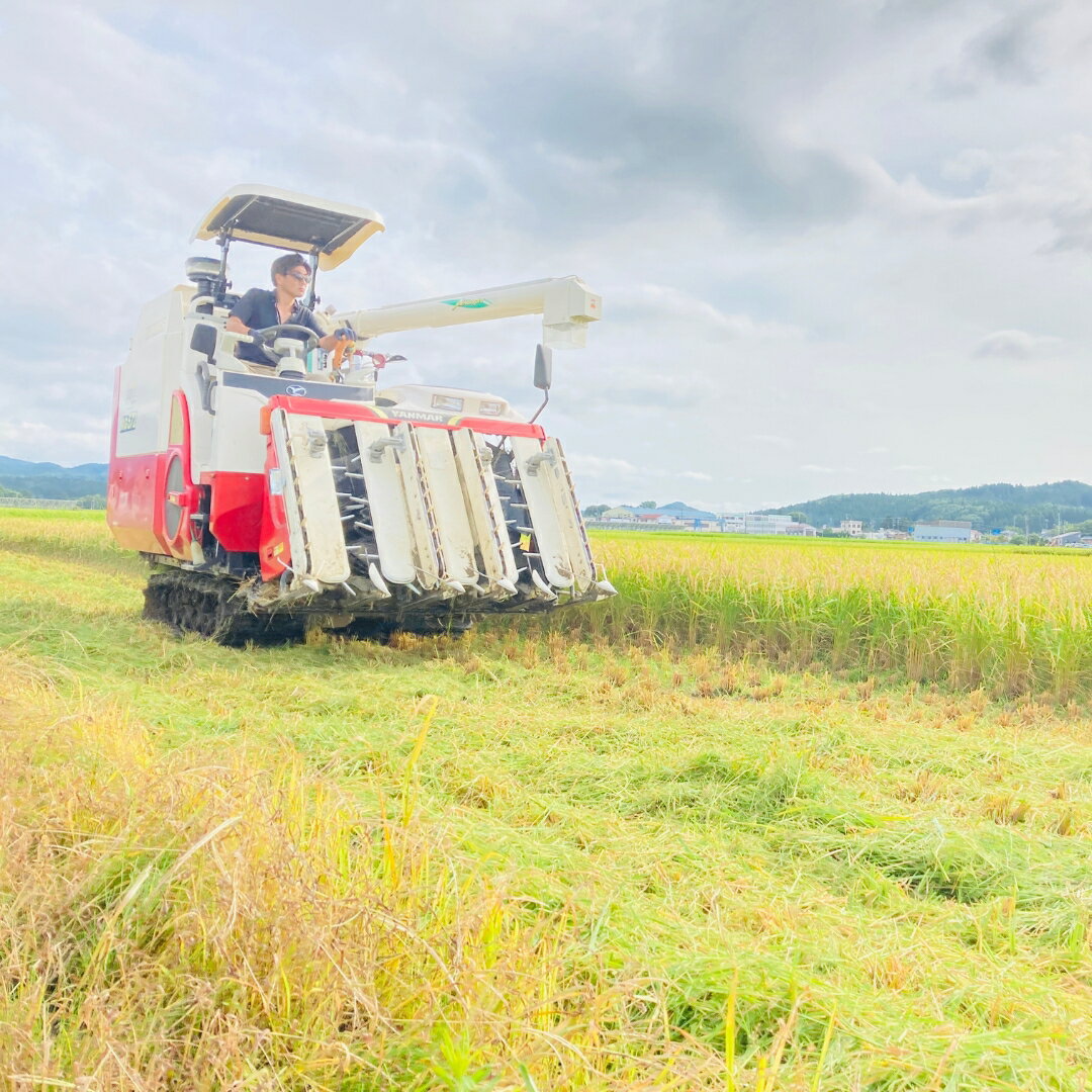 新潟県五泉市の画像2