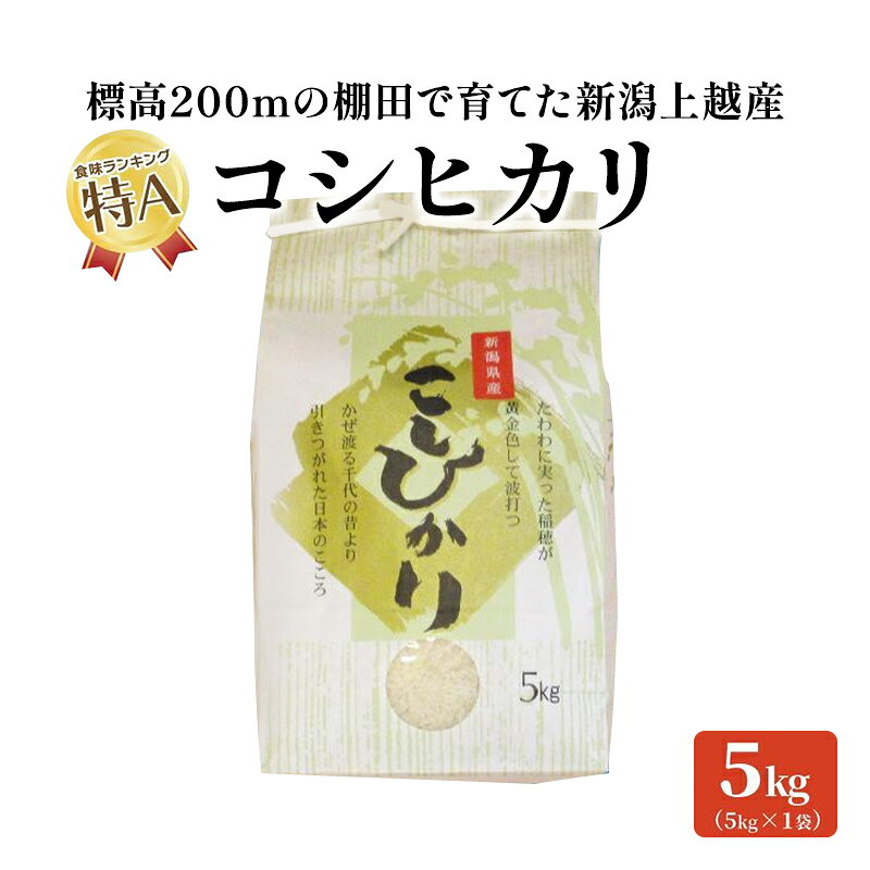 【ふるさと納税】米 