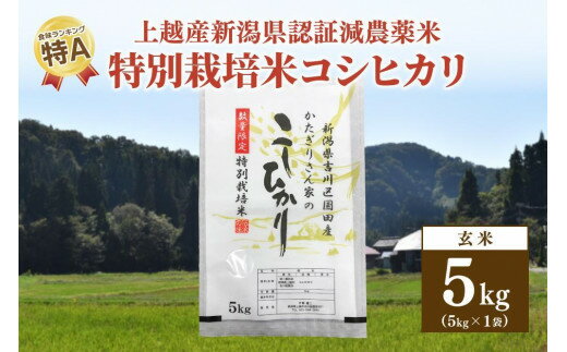 【ふるさと納税】250kg限定★令和6年産・新潟県上越市吉川区国田産・県認証減農薬米／特別栽培米コシヒカリ玄米5kg　お届け：ご注文後、2～3週間を目途に順次発送いたします。