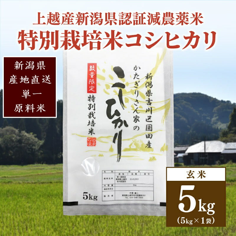 【ふるさと納税】250kg限定★令和6年産・新潟県上越市吉川区国田産・県認証減農薬米／特別栽培米コシヒカリ玄米5kg お届け：ご注文後、2～3週間を目途に順次発送いたします。