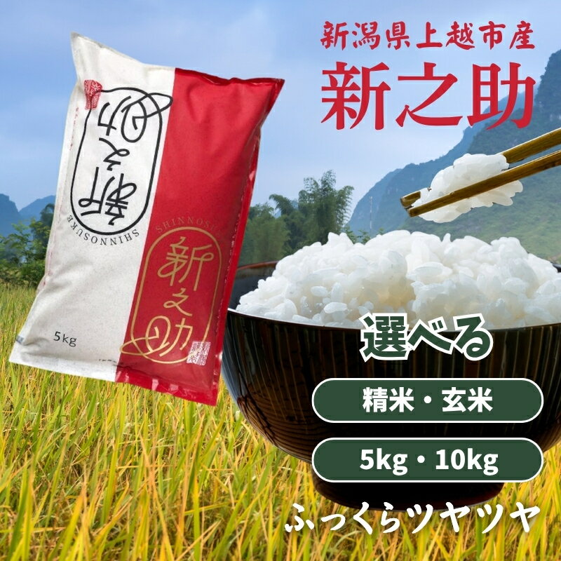 令和7年 新潟県上越産 新潟ブランド米 新之助 5kg 10kg 5キロ 10キロ 米 お米 こめ 認証米 特別栽培 新潟 新潟県産 送料無料 お届け:ご注文後、2〜3週間を目途に順次発送いたします。