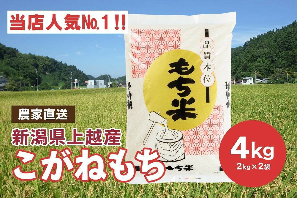 ブランドもち米「 こがねもち 」令和6年産／【精米4kg（2kg×2袋）】コガネモチ 米 お米 こめ 新潟 上越 浦川原農業 JCCソフト お届け：ご注文後、2週間を目途に順次発送いたします。