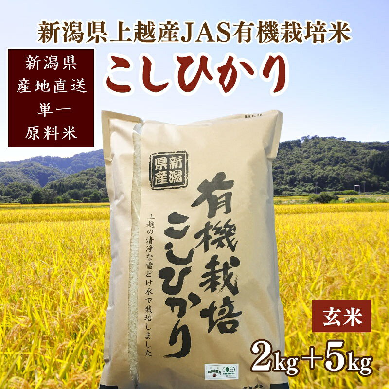 令和6年新潟産「JAS有機栽培認証米コシヒカリ」玄米7kg 桑谷ファーム JCCソフト お届け：ご注文後、2～3週間を目途に順次発送いたします。