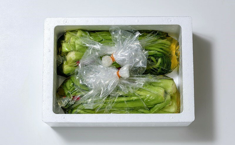 【ふるさと納税】漬物専門店!国産野菜使用:漬物!人気の野沢菜漬!3kg(1.5kg×2袋)新潟県上越市清里産 漬物 野沢菜 国産 食品 発酵 加工食品 人気 新潟 上越 ごはんのお供　お届け：ご注文後、2～3週間を目途に順次発送いたします。