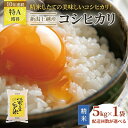 【ふるさと納税】令和7年産 先行予約 配送回数が選べる 新潟上越産コシヒカリ 5kg|コシヒカリ 米 こしひかり こめ おすすめ 新潟 新潟県産 にいがた 上越...