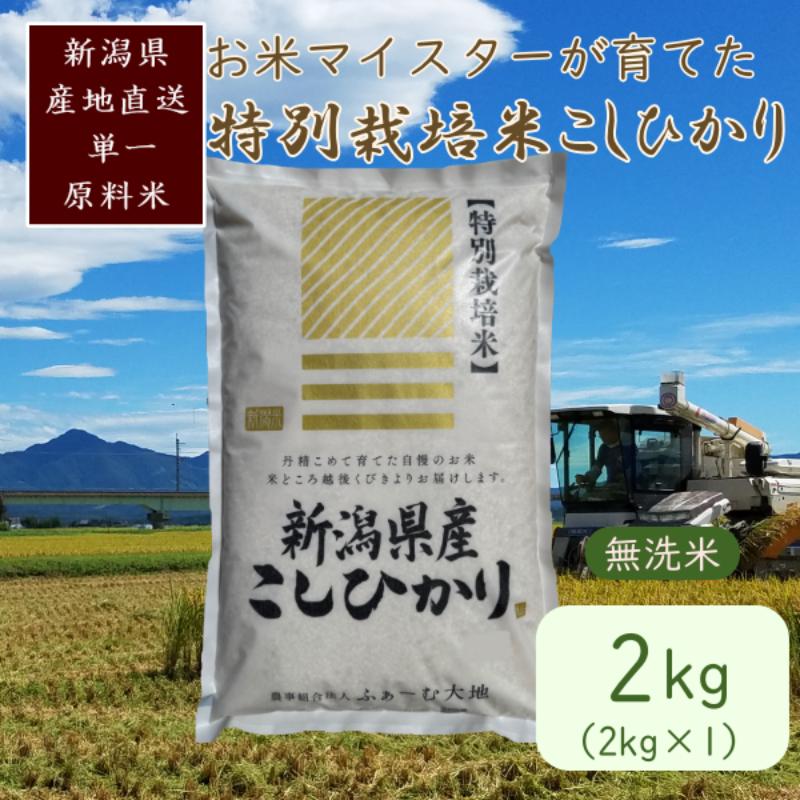 お米マイスターが育てた特別栽培米 精米コシヒカリ 上越産 令和7年産 2kg(2kg×1袋)無洗米 お届け:ご入金確認後、2〜3週間を目途に順次発送いたします。