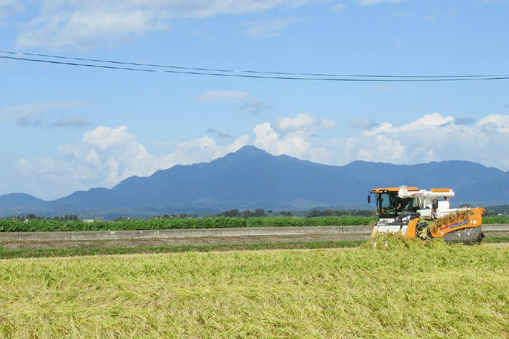 【新潟県上越市】期間限定 レビューキャンペーン対象　【ふるさと納税】令和7年産 お米マイスターが育てた上越産みずほの輝き5kg(5kg×1)白米 精米　お届け：ご入金確認後、2～3週間を目途に順次発送いたします。