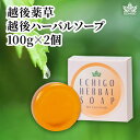 【ふるさと納税】石鹸 【新潟県産よもぎ使用】お肌にやさしい よもぎ石けん×2箱 越後薬草 よもぎ ヨモギ よもぎ石鹸 ヨモギ石鹸 ふるさと納税 新潟 新潟県産 ...