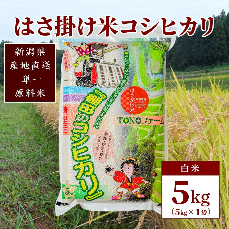 【数量限定】令和5年産 新潟上越清里産 はさ掛け米コシヒカリ5kg(5kg×1袋)白米 こしひかり コシヒカリ 米 TONOファーム JCCソフト お届け：ご入金確認後、2～3週間を目途に順次発送いたします。