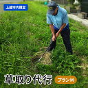 【ふるさと納税】草取り 代行プラン M(上越市内限定)草刈り 手作業 雑草 除草 上越市 お届け:確認後、随時発送いたします。