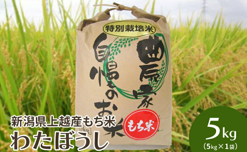 米 令和6年・新潟県上越産|もち米「わたぼうし」新潟県特別栽培米|5kg(白米) お米 もち米 新潟 お届け:ご注文後、2〜3週間を目途に順次発送いたします。
