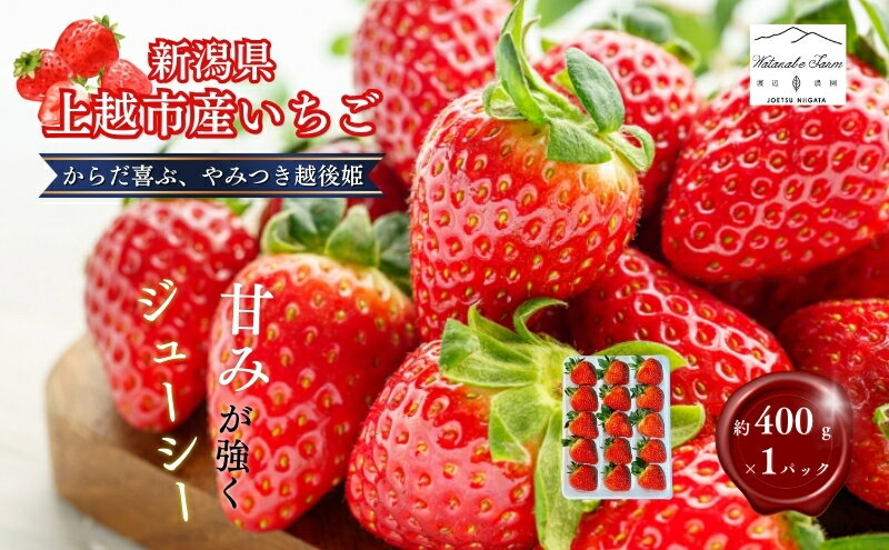 【ふるさと納税】いちご 大粒 カラダよろこぶ やみつき 越後姫 約400g×1パック (9～15粒入り) イチゴ 苺 上越市 新潟　お届け：2025年1月上旬～2025年5月下旬（天候や青果物の生育・収穫状況によりお届け時期が前後する場合がございます。）