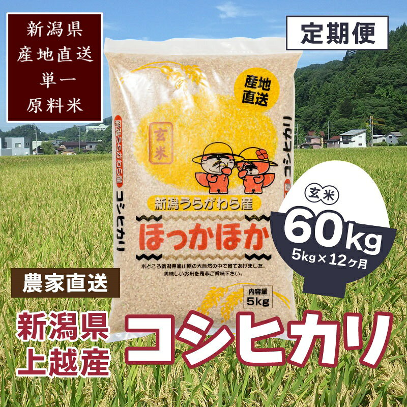 定期便 12回【毎月】新潟県 上越市 浦川原産 極上の雪国米 コシヒカリ 5kg (5kg×1) 玄米 こしひかり 米 浦川原農業 JCCソフト お届け：ご注文後、1ヵ月を目途に順次発送いたします。第1回目を発送、以降は毎月同時期を目安に発送となります。