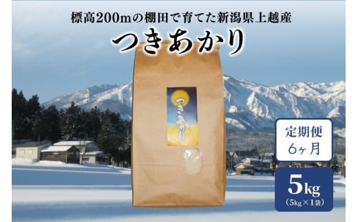 【毎月定期便】標高200mで育てた棚田米|新潟上越中郷産・早生品種つきあかり精米5kg全6回 小島藤吉 神成石ファーム JCCソフト お届け：ご注文後、1ヵ月を目途に順次発送いたします。第1回目を発送、以降は毎月同時期を目安に発送となります。