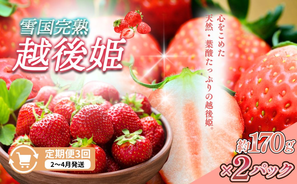 【ふるさと納税】定期便 3回【2～4月発送】雪国完熟いちご越後姫 170g×2全3回 定期配送 越後姫 いちご 定期便 完熟 苺 新潟　お届け：2月～4月の月1回お届けいたします。