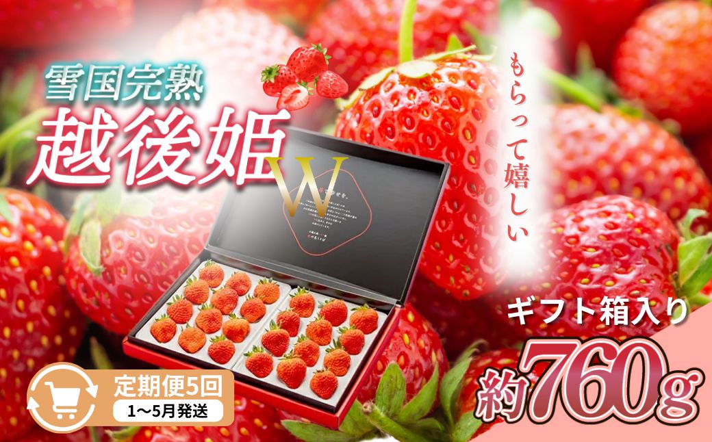 【ふるさと納税】定期便 5回【1～5月発送】いちごの定期配送 雪国完熟いちご越後姫 ダブル（約760g×全5回） 越後姫 いちご　お届け：1月～5月の月1回お届けいたします。