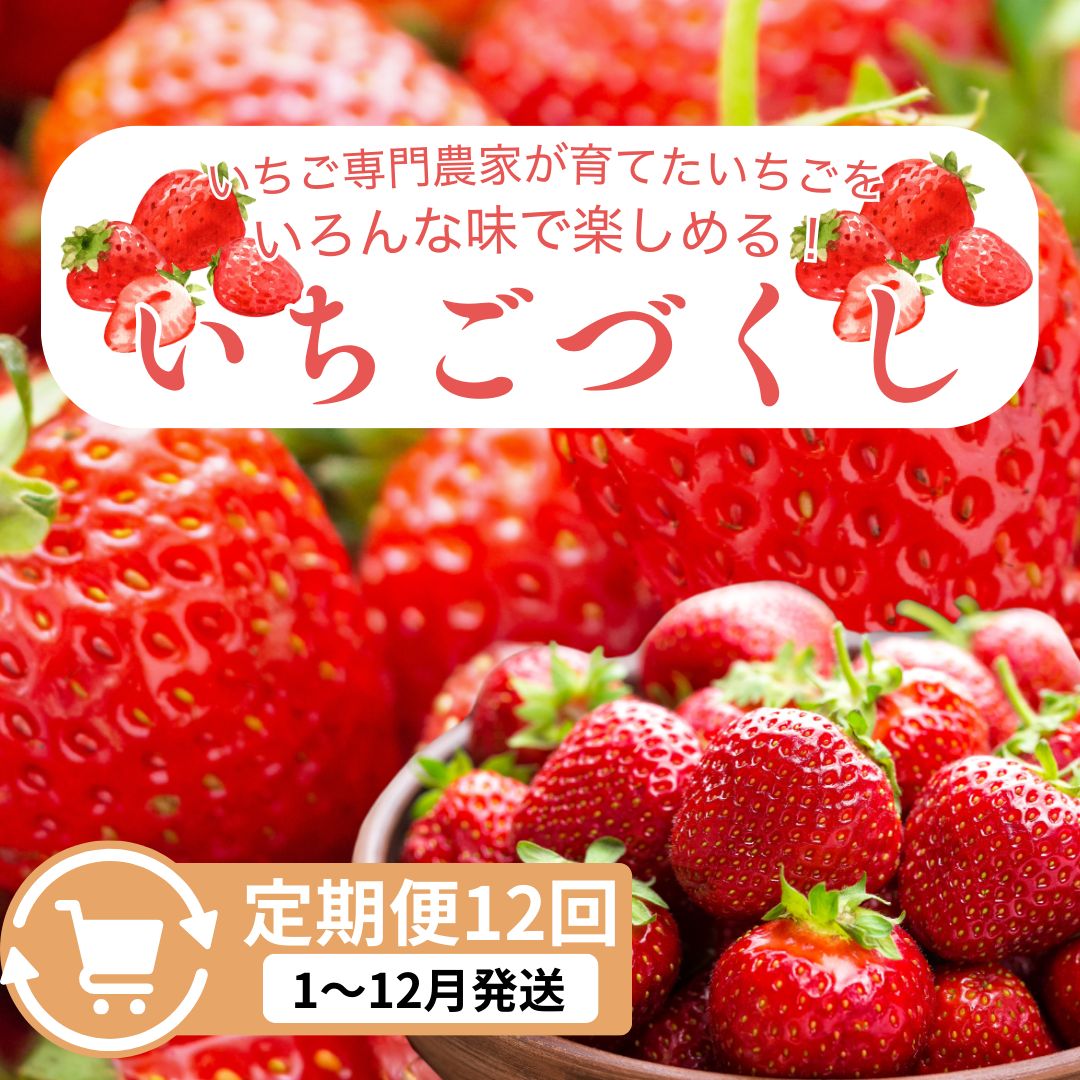 【ふるさと納税】定期便 12回【1~12月発送】いちごづくし定期配送 苺 いちご 冷凍いちご いちごアイス シャーベット ジャム お届け:1月~12月の月1回お届けいたします。※入金確認後の翌月からお届けします。