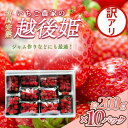 【ふるさと納税】いちご 訳あり 越後姫 約200g×10パック セット イチゴ 苺 お届け:ご入金確認後、11月より順次発送いたします。