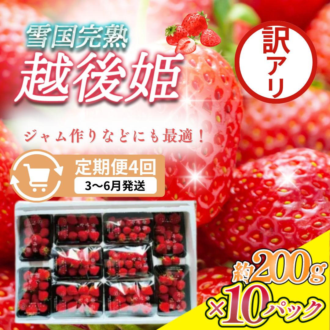 【ふるさと納税】定期便 4回【3～6月発送】訳あり越後姫 約200g×10定期配送 越後姫 えちごひめ 苺 いちご 訳あり 新潟　お届け：3月～6月の月1回お届けいたします。