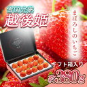 【ふるさと納税】いちご 新潟 雪国完熟越後姫シングル(約380g)ギフト箱入り イチゴ 苺 フルーツ お取り寄せ 贈り物 上越 お届け:ご入金確認後、11月より...