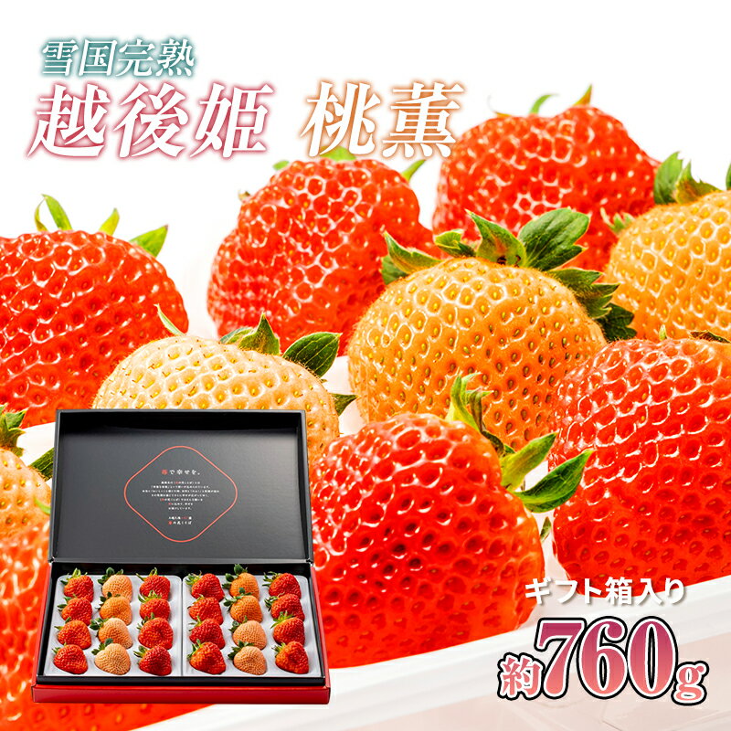 【ふるさと納税】雪国完熟越後姫桃薫ダブル（約760g）ギフト箱入り食べ比べセット | 苺 果物 フルーツ ストロベリー 粒数18～30粒入り 産地直送 旬 お取り寄せ 幻のいちご 希少 ギフト 誕生日 プレゼント 贈り物 返礼品 新潟県 上越市のサムネイル