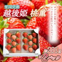 【ふるさと納税】いちご 新潟 雪国完熟越後姫桃薫 約200g×2P食べ比べセット イチゴ 苺 お取り寄せ ギフト 贈り物 上越 お届け:2025年1月以降収穫出...