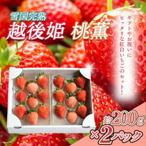 【ふるさと納税】いちご 新潟 雪国完熟越後姫桃薫 約200g×2P食べ比べセット イチゴ 苺 お取り寄せ ギフト 贈り物 上越 お届け:2026年1月以降収穫出来次第、順次発送いたします。