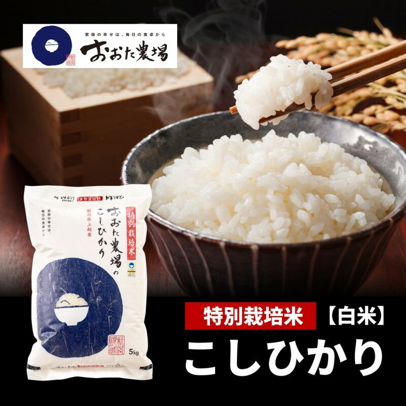 【ふるさと納税】新潟県上越産　特別栽培米　コシヒカリ 　【白米】　5kg×1袋のサムネイル