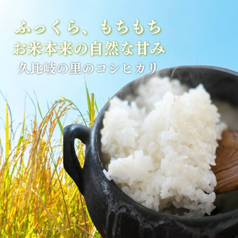 【ふるさと納税】お米 新潟県上越産 特別栽培米 コシヒカリ 5kg 令和7年産 こしひ...