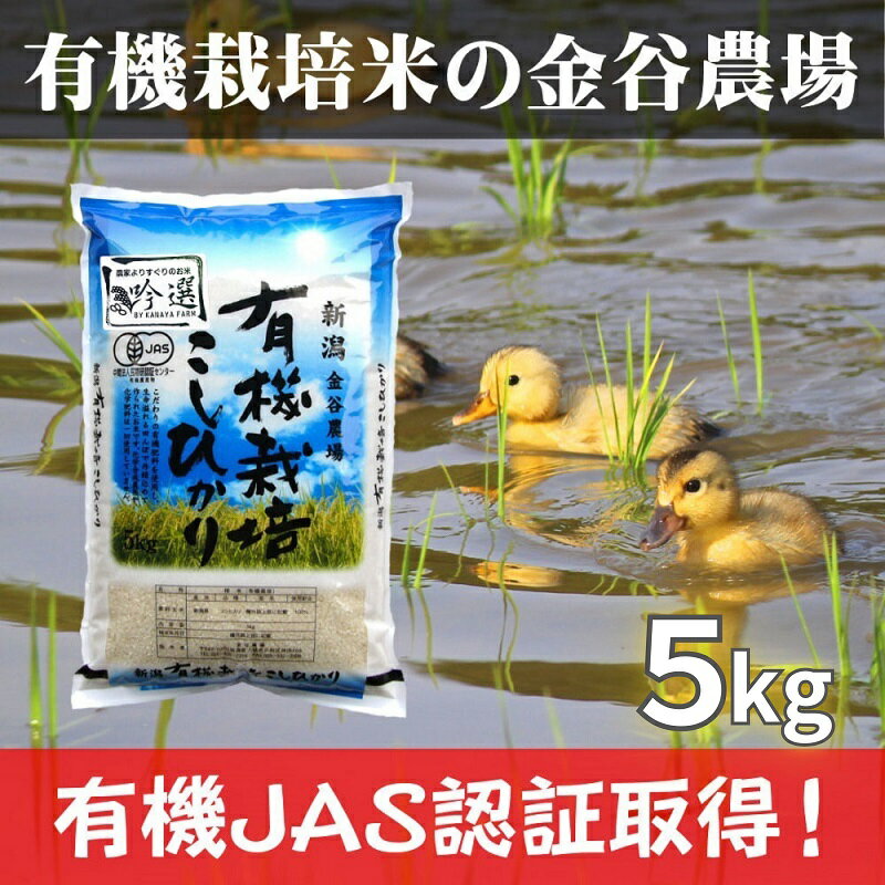 新潟県産JAS有機栽培米コシヒカリ 白米5kg|こしひかり コシヒカリ 米 お米 こめ おすすめ 人気 ふるさと納税 有機栽培 新潟 新潟県産 にいがた 上越 上越産 お届け:10月上旬より出荷予定。ご注文確定後10日以内に発送いたします。