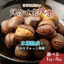 【ふるさと納税】栗 焼き栗 謙信甘栗の氷蔵熟成栗 1kg 2kg 3kg 1キロ 2キロ 3キロ 新潟県 上越市産 甘栗 やきぐり スイーツ おやつ くり 秋の味覚 送料無料 お届け:2025年10月20日~2025年12月15日