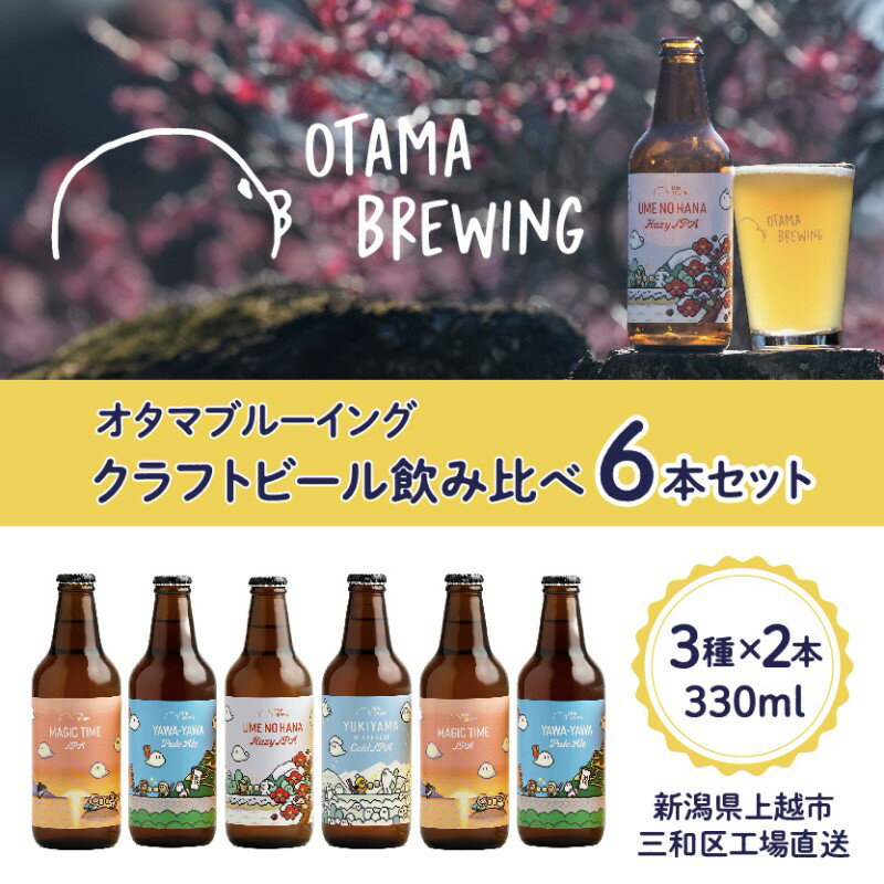 【ふるさと納税】クラフトビール 飲み比べ 6本 セット 新潟県上越市 330ml 定番4種から3種×2本 工場直送 ビールのサムネイル