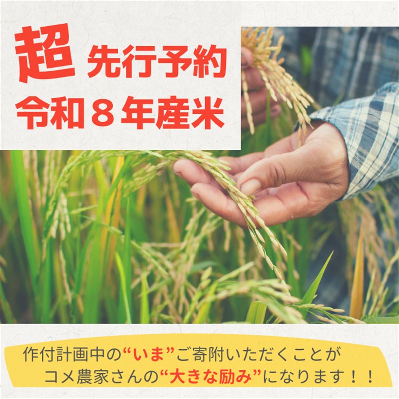 【新潟県上越市】期間限定 レビューキャンペーン対象　【ふるさと納税】高評価★5 【プロも高評価！】令和8年産 新潟県上越市産 みずほの輝き 定期便 5kg×6回 30kg 6か月 米 新米 先行予約 蛍の里　お届け：※令和8年10月から順次、毎月下旬に発送（計6回）します。